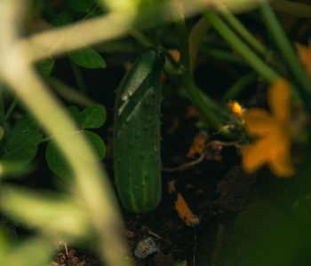 derek-sutton-w0P1mdAnxi0-unsplash